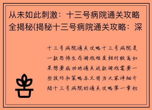 从未如此刺激：十三号病院通关攻略全揭秘(揭秘十三号病院通关攻略：深入挖掘游戏玩法)
